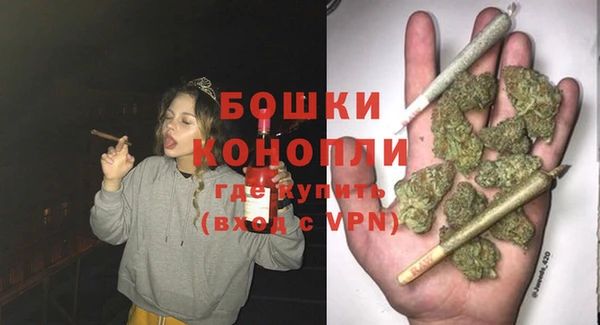 PSILOCYBIN Белокуриха