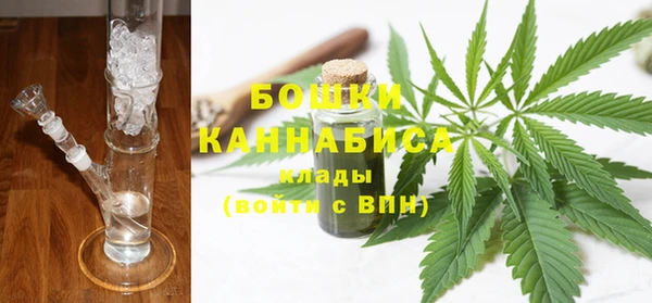PSILOCYBIN Белокуриха
