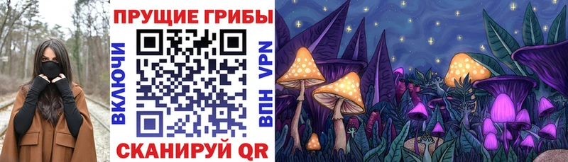 Псилоцибиновые грибы прущие грибы  где найти   Кашира 