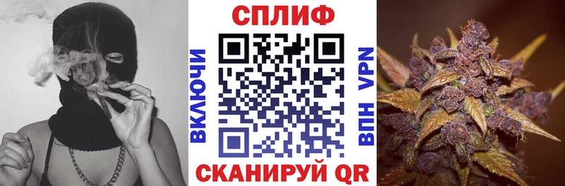 Бошки марихуана гибрид  гидра ССЫЛКА  Кашира  как найти закладки 